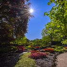 Sonne im Japangarten