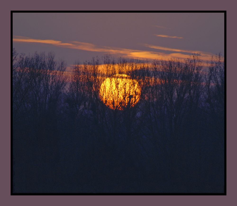 Sonne im März