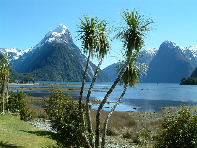 Sonne im Milford Sound?