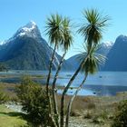 Sonne im Milford Sound?