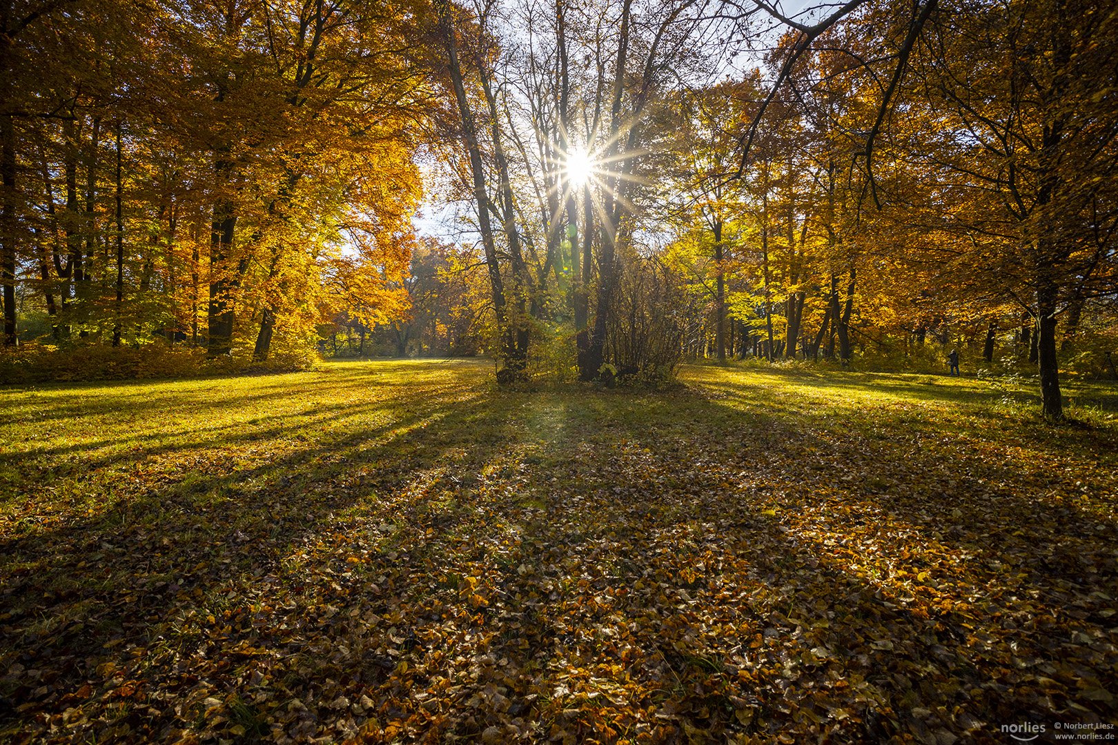 Sonne im Mittelpunkt