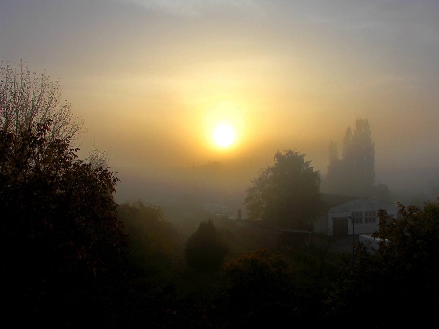 Sonne im Morgennebel