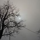 Sonne im Nebel