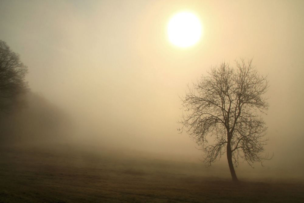 Sonne im Nebel