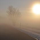 Sonne im Nebel