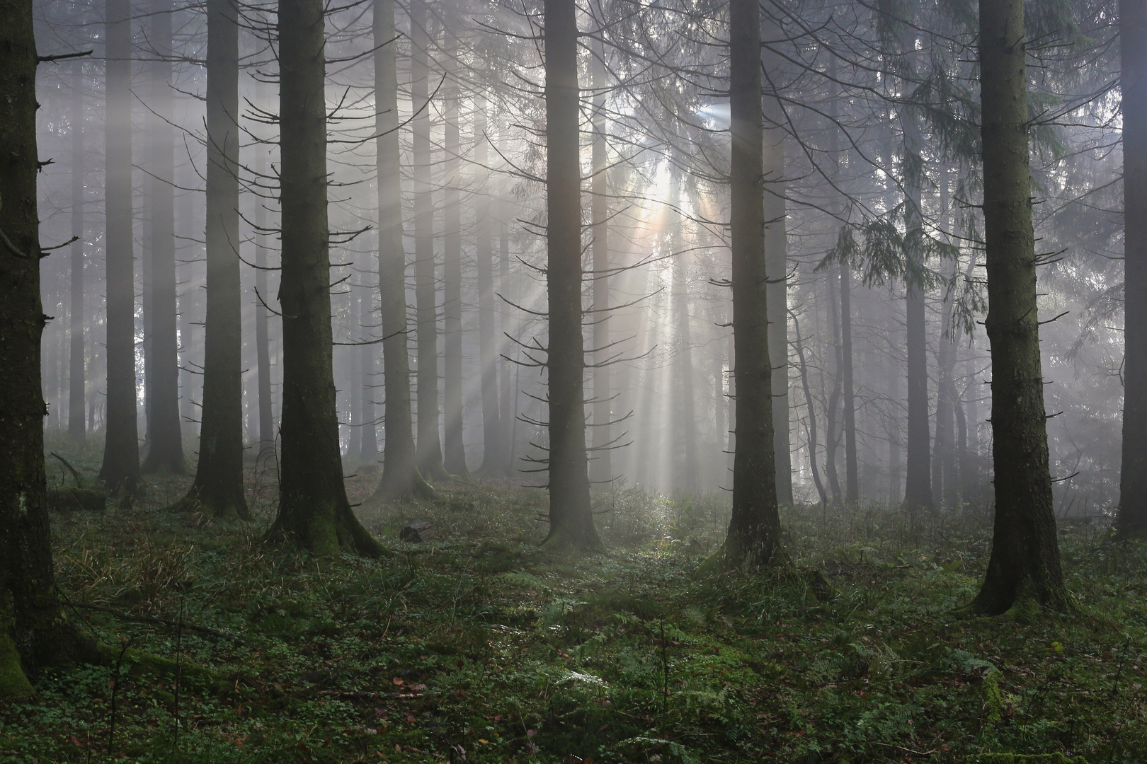 Sonne im Nebel (2017_11_01_EOS 6D_7183_ji)