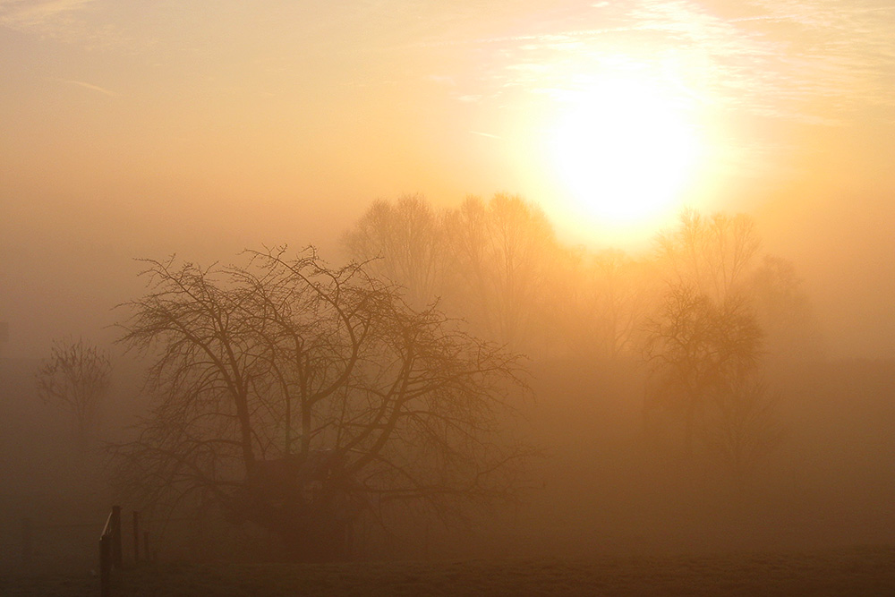 Sonne im Nebel