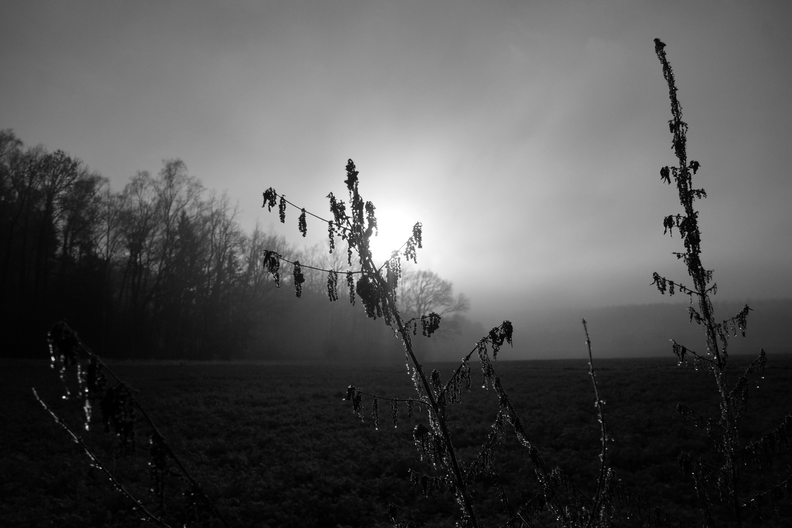 Sonne im Nebel