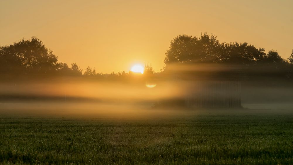 Sonne im Nebel