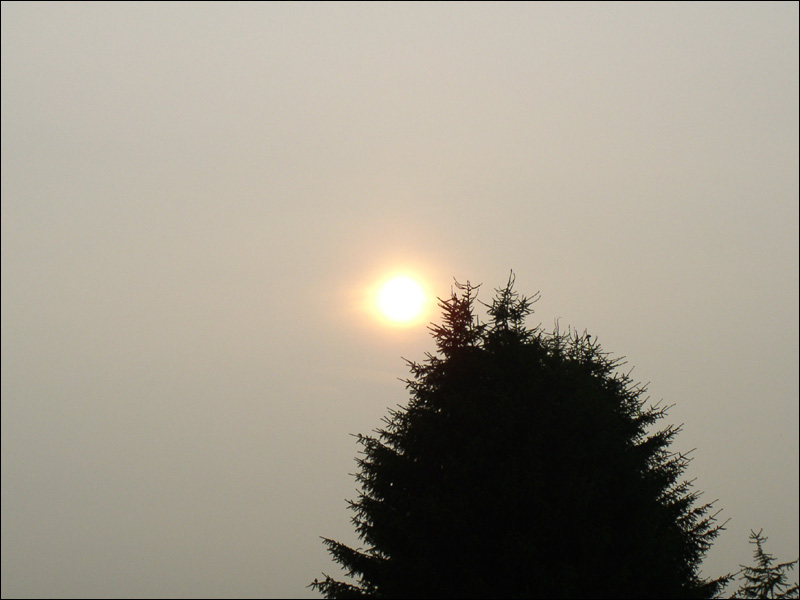 Sonne im Nebel