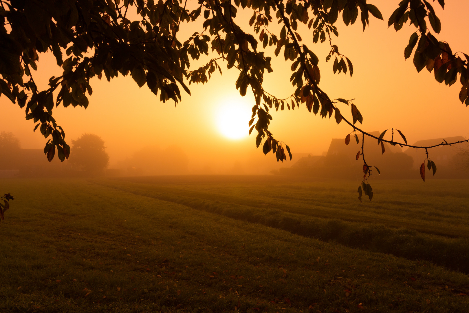 Sonne im Nebel