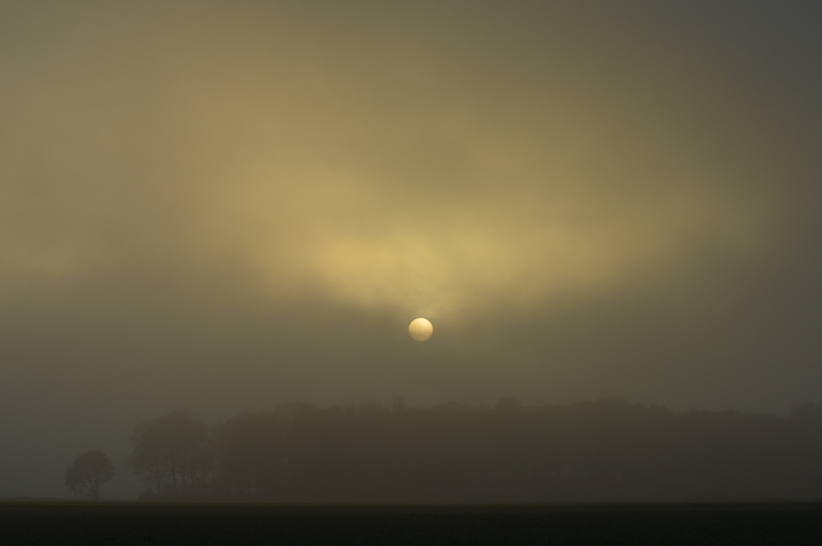 Sonne im Nebel