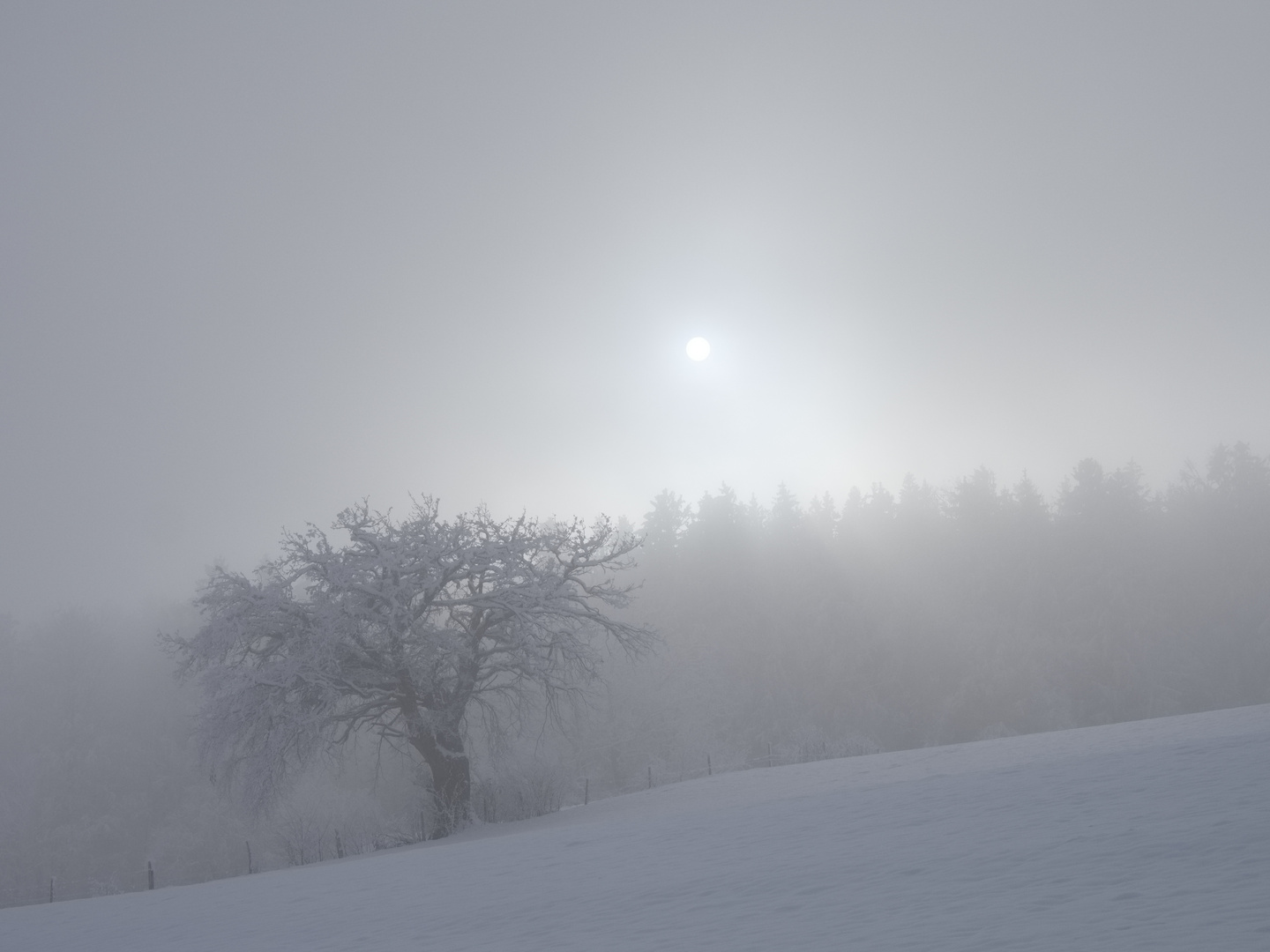 Sonne im Nebel