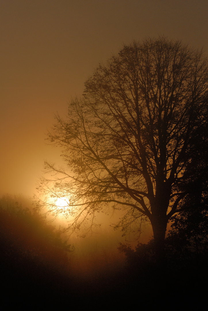 Sonne im Nebel