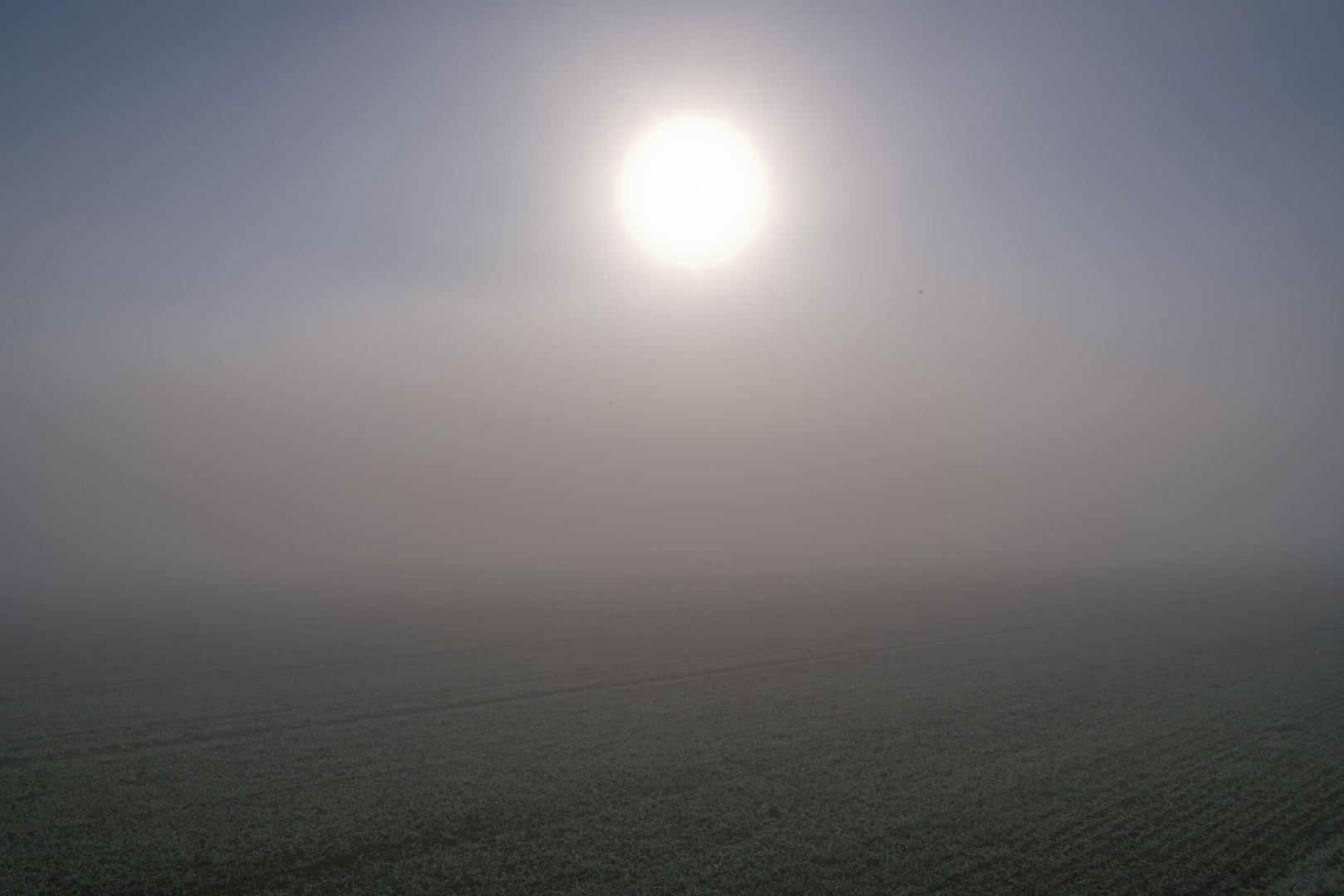 Sonne im Nebel überm Feld, sonst nichts....