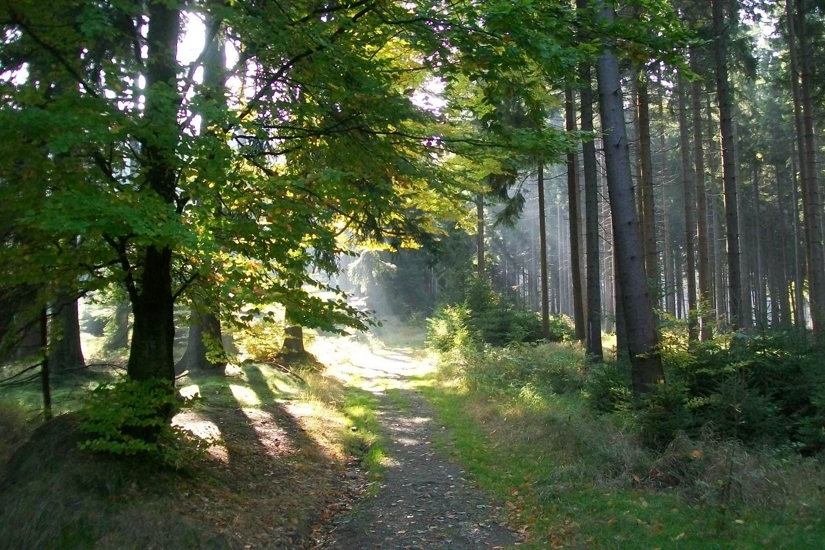 Sonne im Oktober