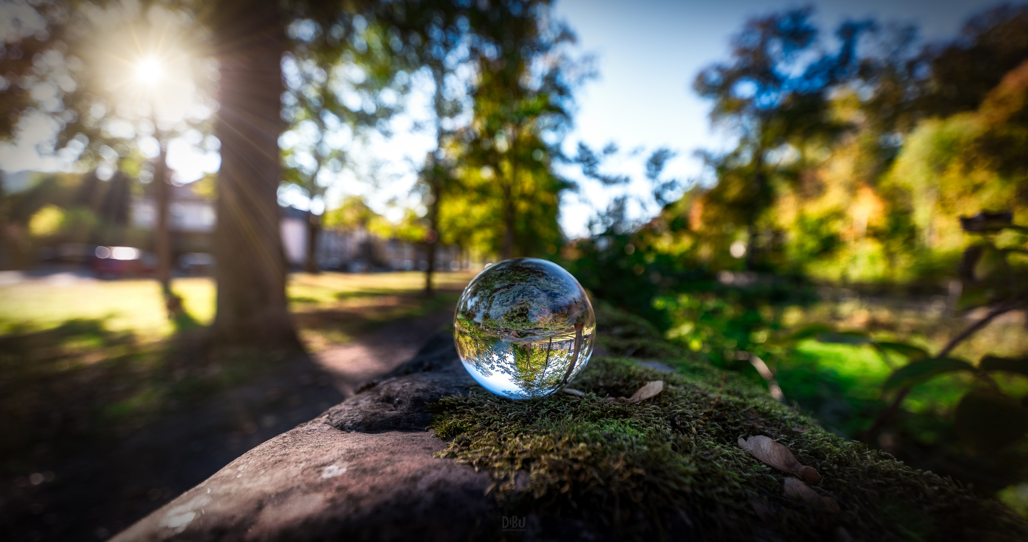 Sonne im Park 2