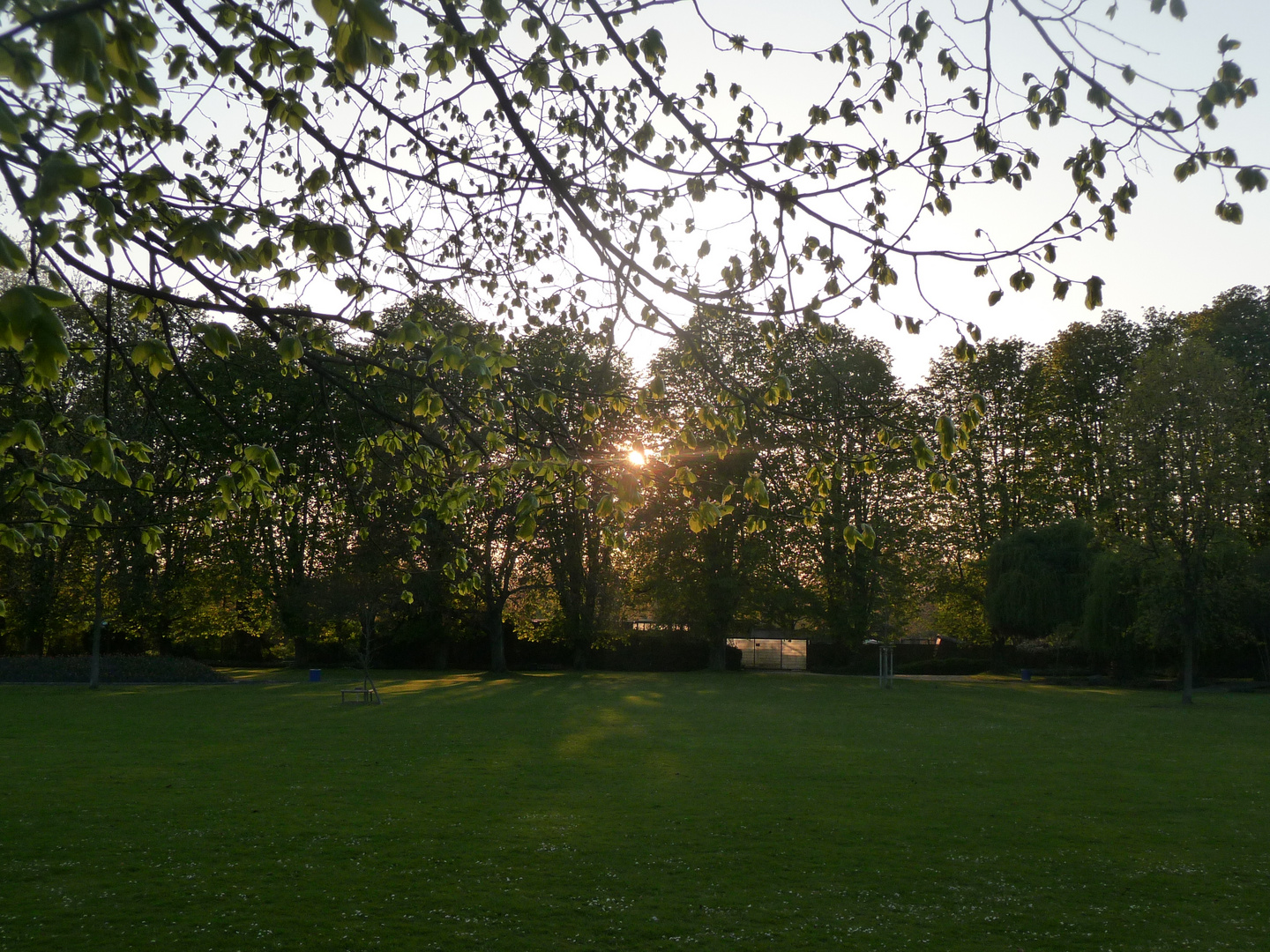 Sonne im Park