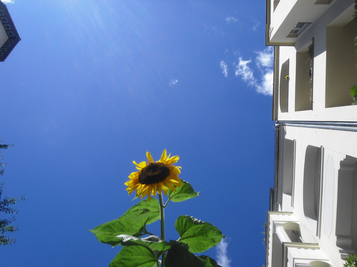 Sonne im PrenzlauerBerg 1