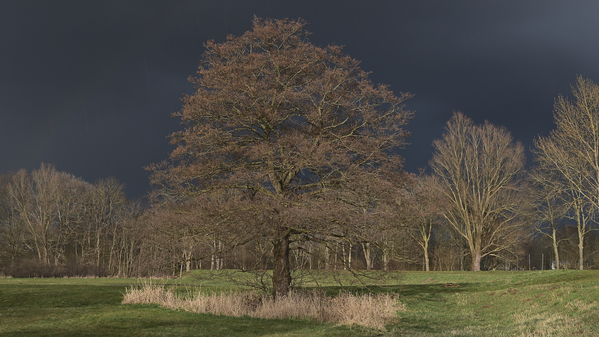 Sonne im Rücken-Regen voraus