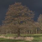 Sonne im Rücken-Regen voraus