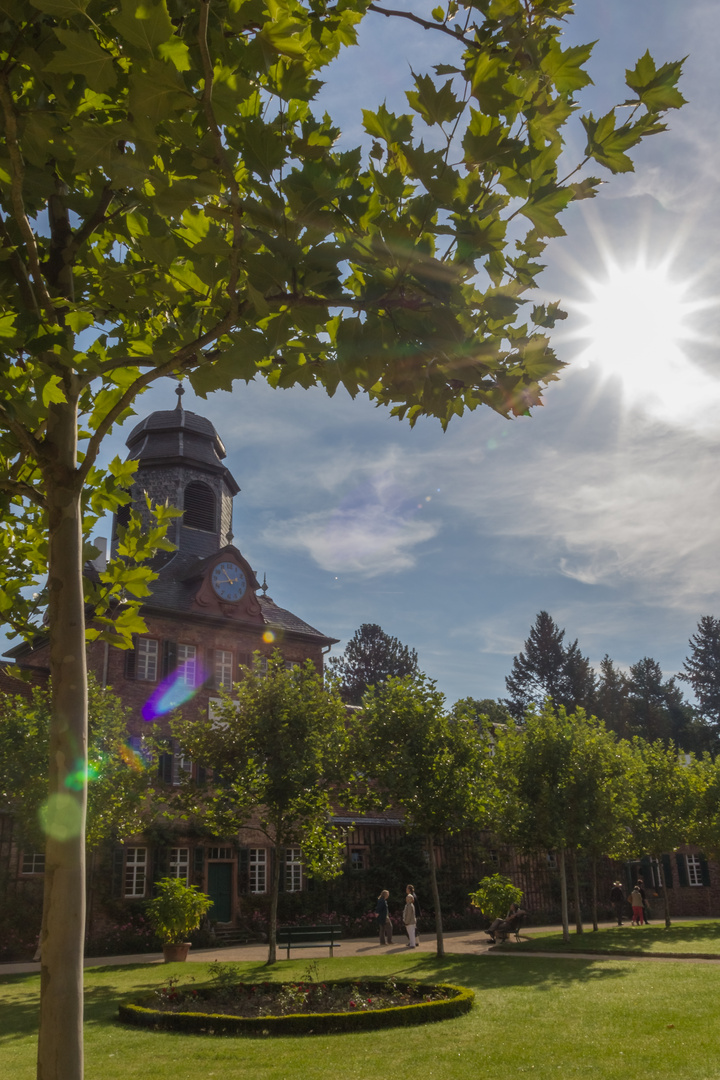 Sonne im Schloß Wolfsgarten 1