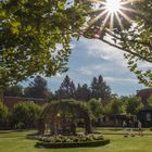 Sonne im Schloß Wolfsgarten 2