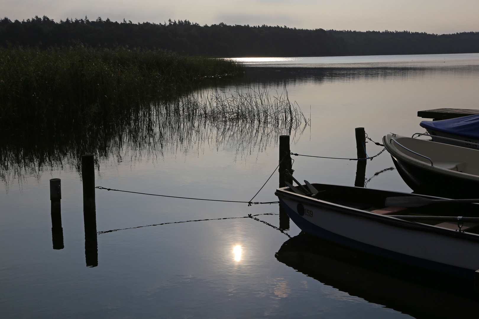 sonne im see