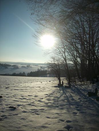 Sonne im Winter