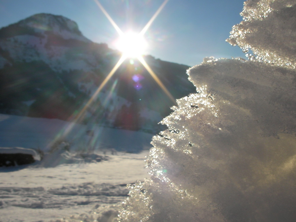 Sonne im Winter