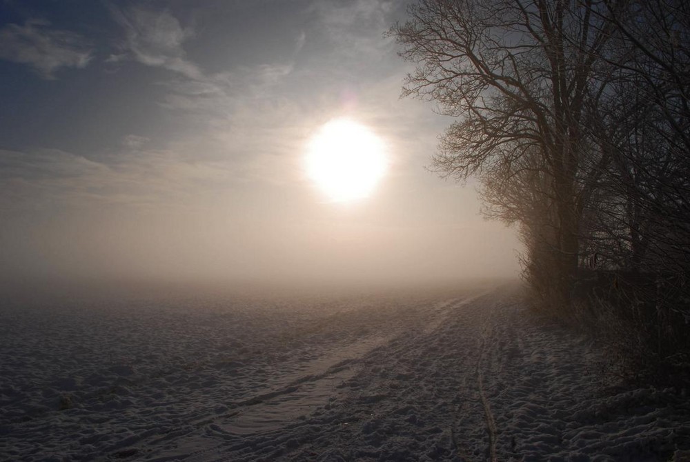 Sonne im Winternebel