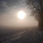 Sonne im Winternebel