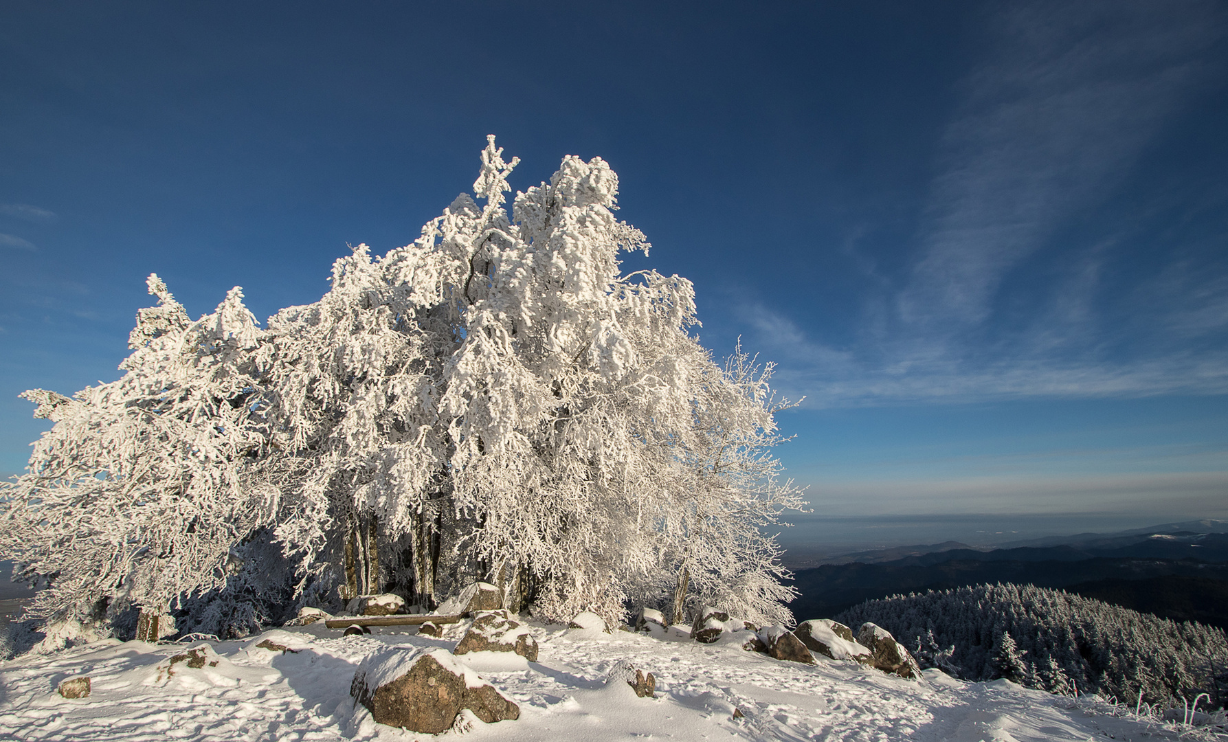 Sonne im Winterwonderland