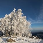 Sonne im Winterwonderland