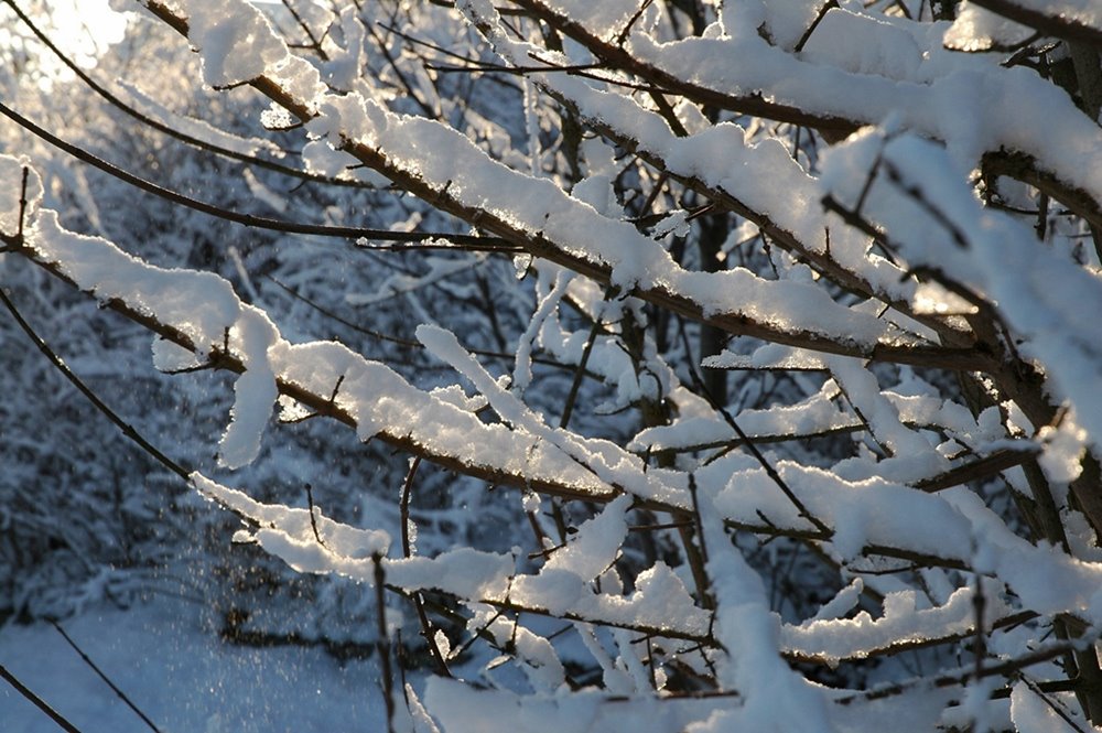 Sonne im Winterwonderland