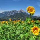 Sonne in den Bergen