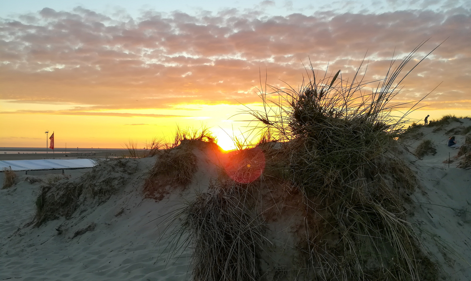 Sonne in den Dünen