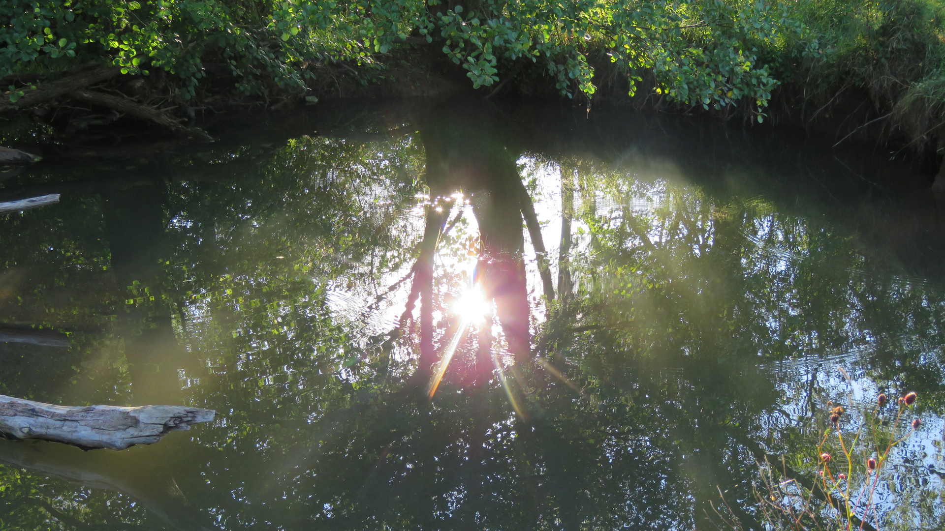 Sonne in der Itz (Südthüringen)...