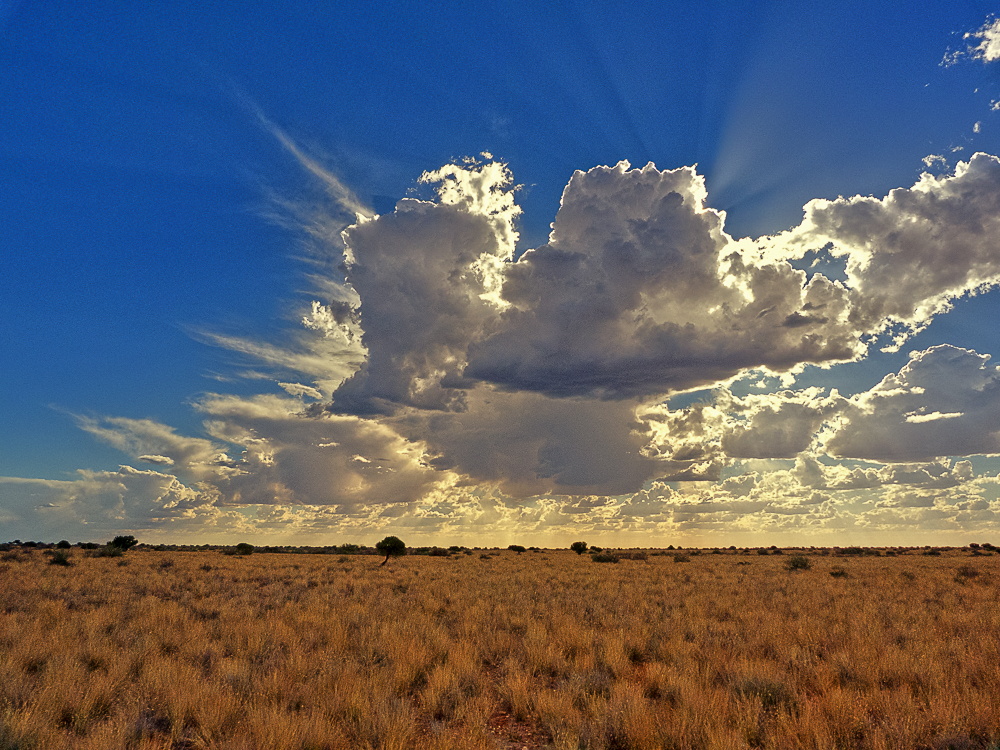 Sonne in der Kalahari