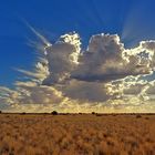 Sonne in der Kalahari