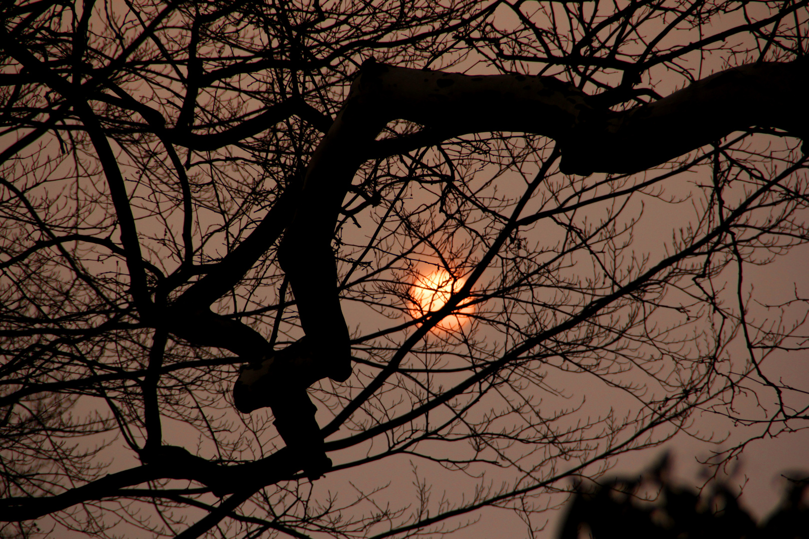 Sonne in der Nacht