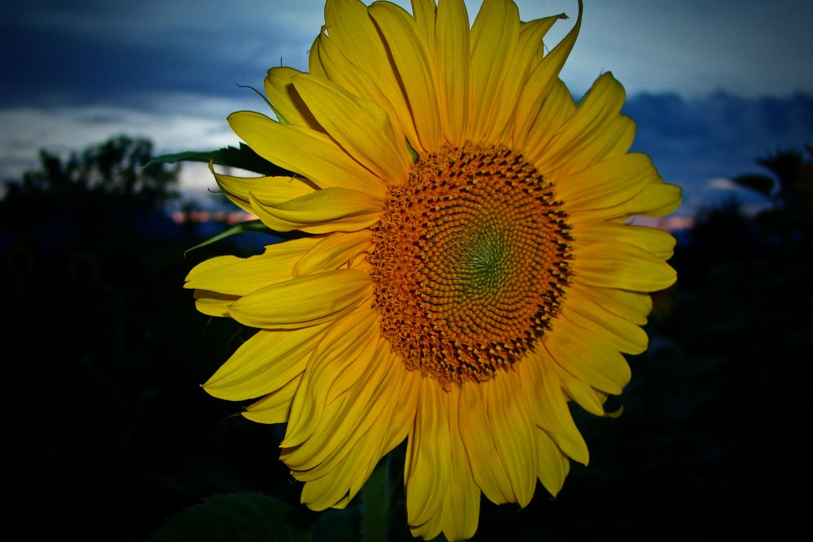 Sonne in der Nacht