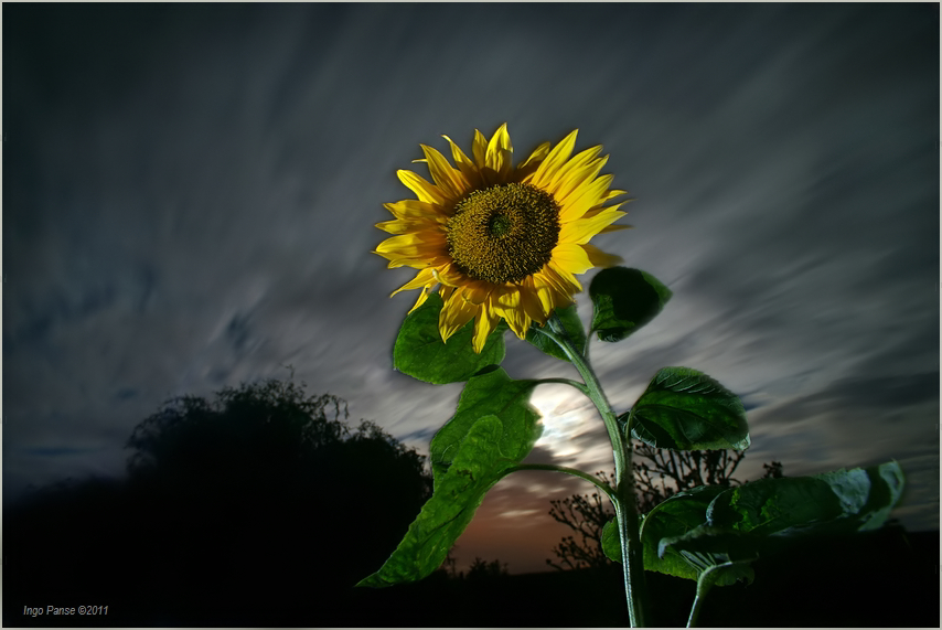 Sonne in der Nacht Foto & Bild landschaft, naturlandschaft bei