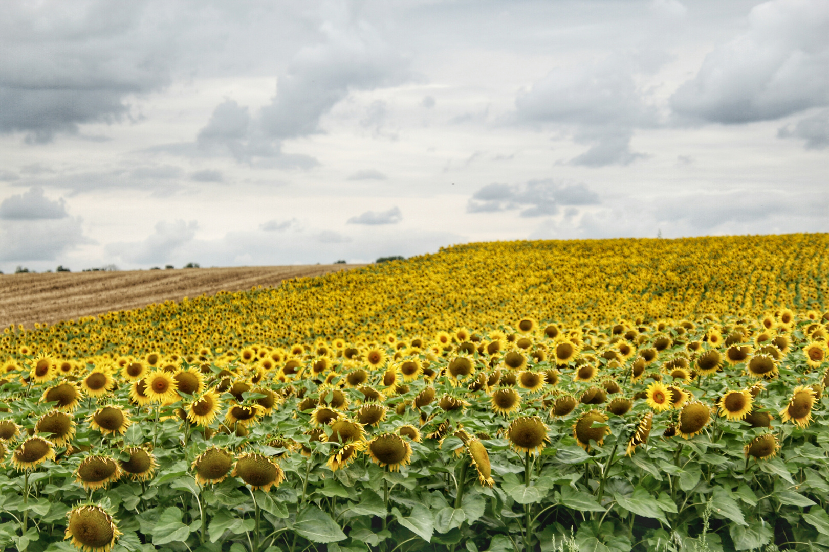 Sonne in Frankreich