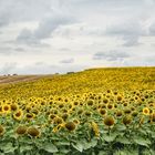 Sonne in Frankreich