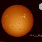 Sonne in H-Alpha 13. Mai 2012 10:41UT