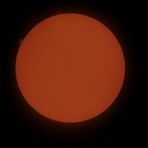 Sonne in H-Alpha II