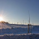 Sonne in Schellerhau im Osterzgebirge am Ende des alten Jahres