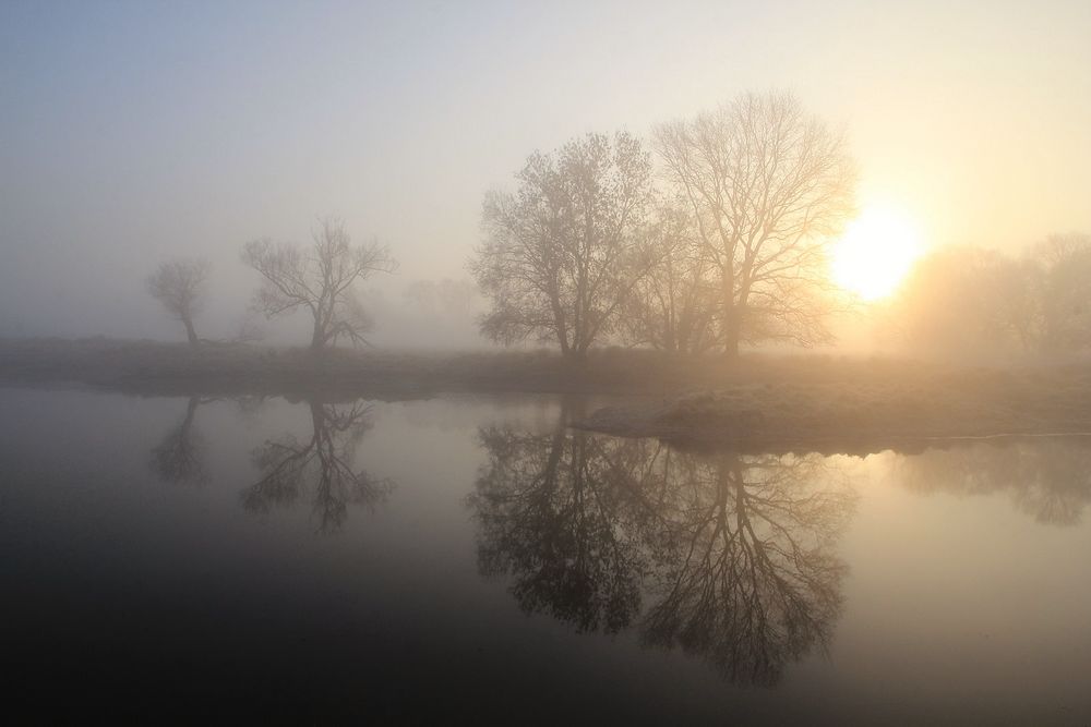 Sonne kämpft sich durch den Nebel