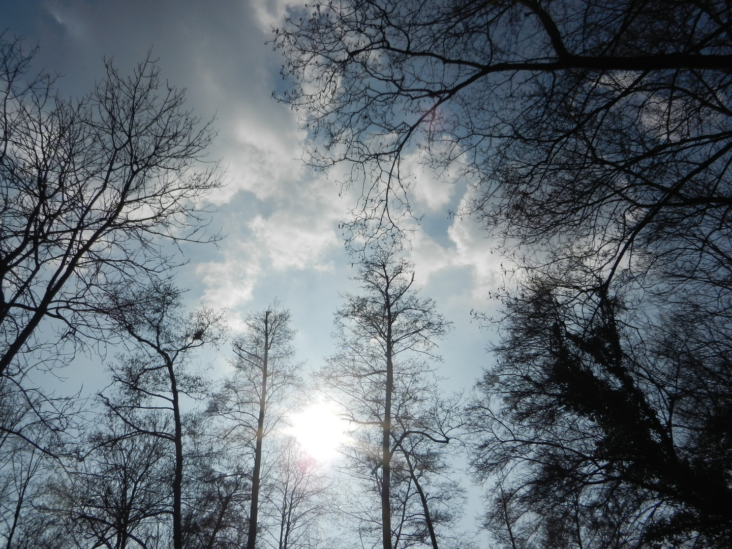 Sonne kämpft sich vor Wolken hervor